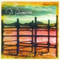 Outside Looking In: The Best Of The Gin Blossoms cover