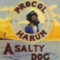 A Salty Dog cover