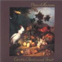 Exotic Birds And Fruit cover