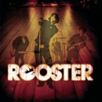 Rooster cover