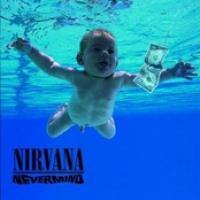 Nevermind cover