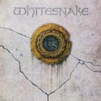 Whitesnake cover