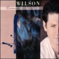 Brian Wilson (Deluxe Edition) cover