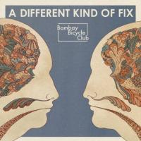 A Different Kind Of Fix cover