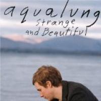 Strange And Beautiful cover