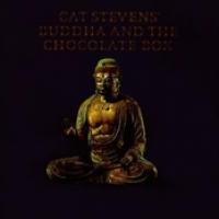 Buddha And The Chocolate Box cover