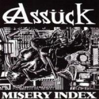 Misery Index cover