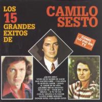 Los 15 Grandes Exitos De Camilo Sesto cover