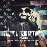 Trunk Muzik Returns cover