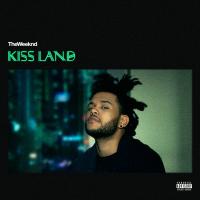 Kiss Land cover
