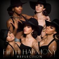 Reflection cover