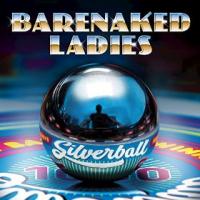 Silverball cover