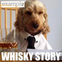 Whisky Story cover