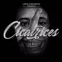 Cicatrices cover