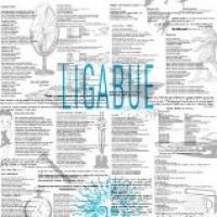 Ligabue cover