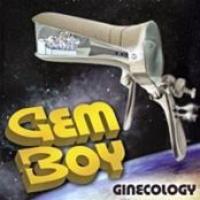 Ginecology cover