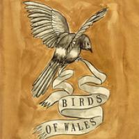 Birds Of Wales cover