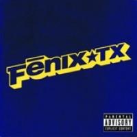 Fenix TX cover