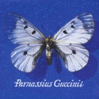 Parnassius Guccinii cover