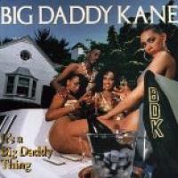 It's A Big Daddy Thing cover