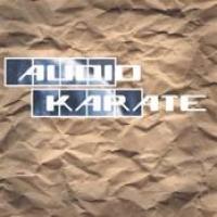 Audio Karate cover