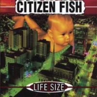Life Size cover