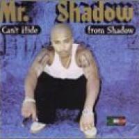 Can't Hide From Shadow cover