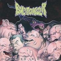 Occlused In Ottusity cover