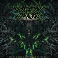 Before The Throne Of Infection  cover