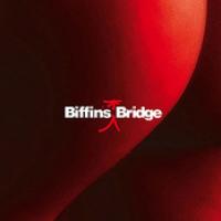 Biffin's Bridge cover