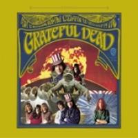 The Grateful Dead cover
