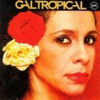 Gal Tropical cover