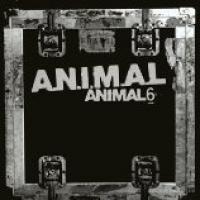 Animal 6 cover