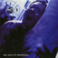 The Deity Of Perversion cover