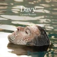 Davy cover