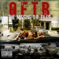 The Missing D.R. Files cover