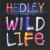 Wild Life cover