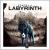 Labyrinth cover