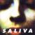 Saliva cover