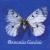 Parnassius Guccinii cover