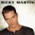Ricky Martin (English) cover