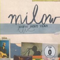 Maybe Next Year cover