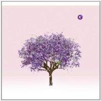 Tomorrow Morning cover