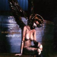 Mistrust The Angels cover
