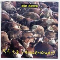 5,6,7,8 Bullenstaat cover