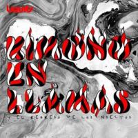 Kimono En Llamas Y El Regreso De Los Insectos cover