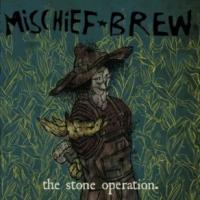 The Stone Operation cover