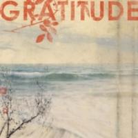 Gratitude cover