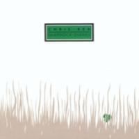 Shamrock Diaries cover