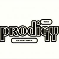 The Experience cover